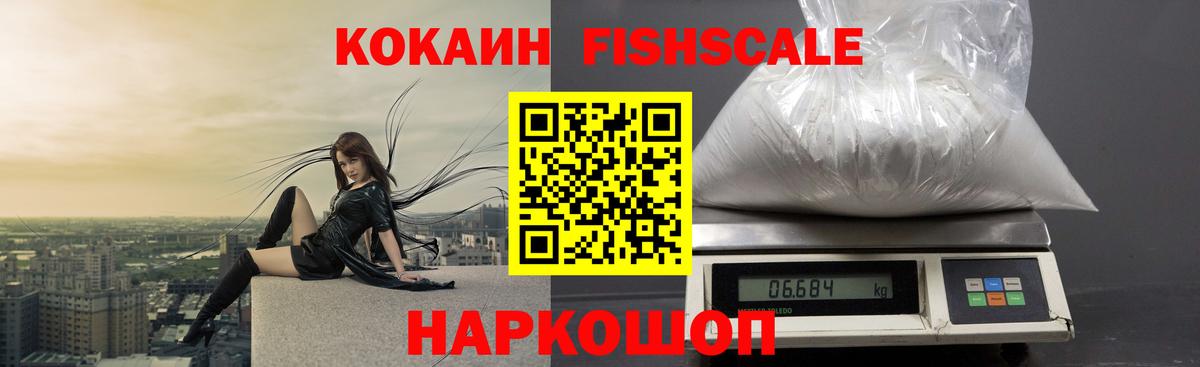 Cocaine Fish Scale  Вход с VPN  Шатура 