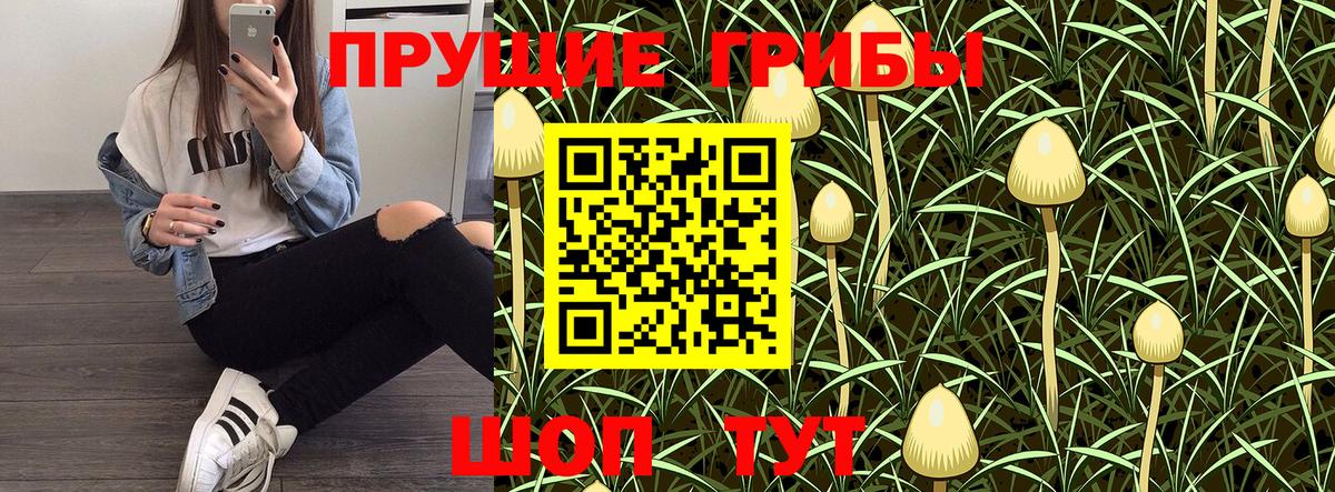 Псилоцибиновые грибы GOLDEN TEACHER Шатура